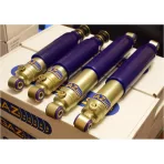 Gaz Shocks