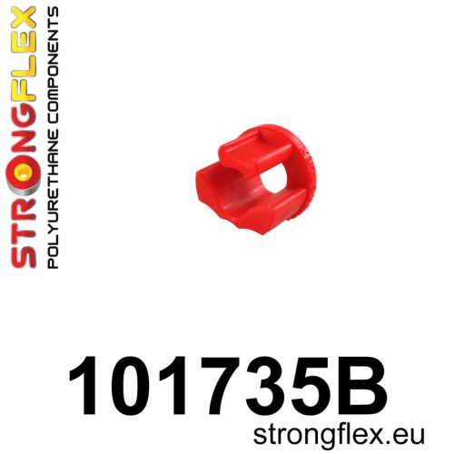 101735B: Rear differential bush insert