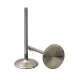 Manley Valve Ti NRE X1/S6 2.480 6.400 .3415 Bead Loc