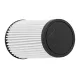 21-2029BF AEM DryFlow Air Filter