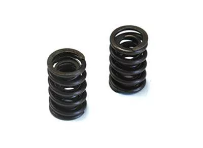 DART VALVE SPRINGS 1.625 dual #9685