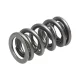 Manley Valve Spring 1.324 DOUBLE