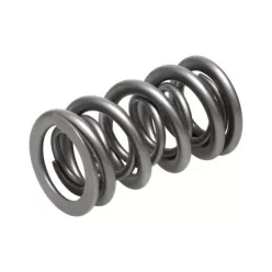 Manley Valve Spring 1.335 DOUBLE
