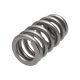 Manley Valve Spring 1.311 SINGLE