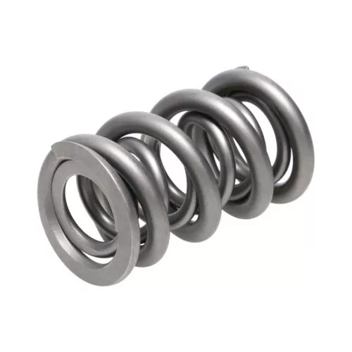 Manley Valve Spring 1.290 DOUBLE