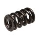 Manley Valve Spring 1.580 DOUBLE