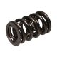 Manley Valve Spring 1.610 DOUBLE