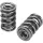 Manley Valve Spring 1444 POLISHED