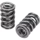 Manley Valve Spring 1444 POLISHED