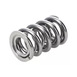 Manley Valve Spring 1.620 DOUBLE