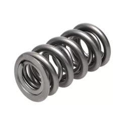 Manley Valve Spring 1.620 DOUBLE
