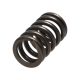 Manley Valve Spring HONDA K20A3/K24A
