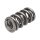 Manley Valve Spring 1.550 DOUBLE