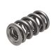 Manley Valve Spring 1.550 DOUBLE