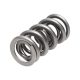 Manley Valve Spring 1.522 DOUBLE