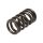 Manley Valve Spring MITSUBISHI 4B11T