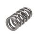 Manley Valve Spring FORD/MAZDA 2.3L