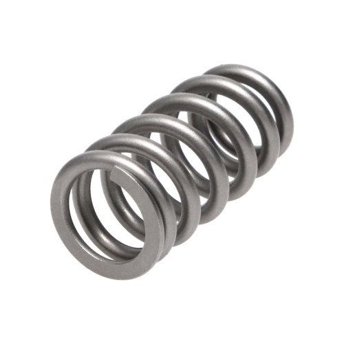 Manley Valve Spring FORD/MAZDA 2.3L
