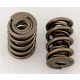 Manley Valve Spring SBC 1.250