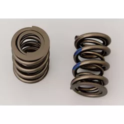 Manley Valve Spring 1.550 DBL CHR SIL