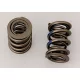 Manley Valve Spring 1.550 DBL CHR SIL