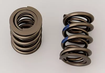 Manley Valve Spring 1.550 DBL CHR SIL