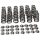 Manley Valve Spring Kit Spring/Retainer