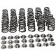 Manley Valve Spring Kit Spring/Retainer