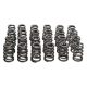Manley Valve Spring Kit Spring/Retainer/Lock
