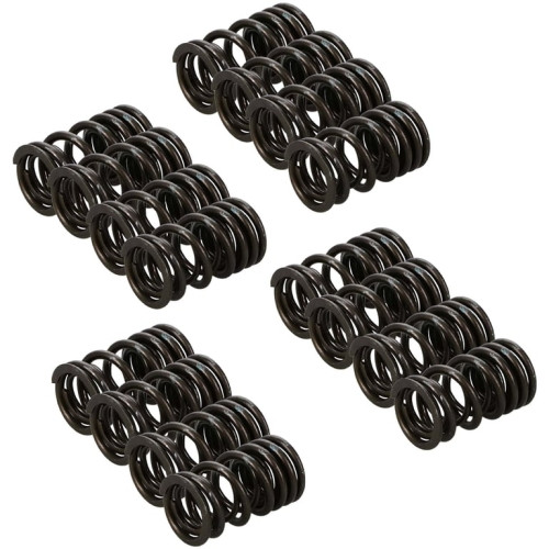 Manley Valve Spring Kit Spring/Retainer