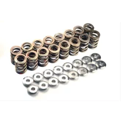 Manley Valve Spring Kit NexTek Spring
