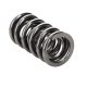 Manley Valve Spring Kit Spring/Retainer/Locator/Lock/Seal