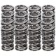 Manley Valve Spring Kit Spring/Retainer/Locator/Lock/Seal