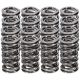 Manley Valve Spring Kit Spring/Retainer/Locator/Lock/Seal