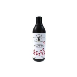 Daniel Washington Shampoo 500ml