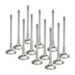 Inconel Szelepek