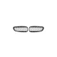 Grill BMW Z4 E89 Gloss Black