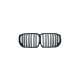 Grill BMW X5 G05 F95 Dual Line Gloss Black