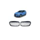 Grill BMW 2 F45 Single Line Matt Fekete