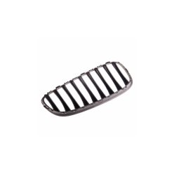 Grill BMW Z4 E89 Single Line Gloss Black