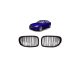 Grill BMW 7 F01 F02 F03 F04 Dual Line Gloss Black