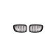 Grill BMW 5 F07 Dual Line Gloss Black