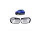 Grill BMW X1 F48