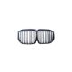 Grill BMW X7 G07 Dual Line Gloss Black