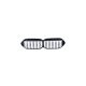 Grill BMW 2 F44 Dual Line Gloss Black