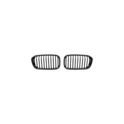 Grill BMW 1 F20 F21 Facelift Single Line Matt Black