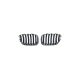 Grill BMW X5 E53 Facelift Single Line Matt Black