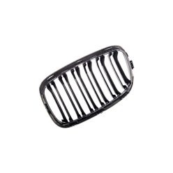 Grill BMW 1 F20 F21 Dual Line Carbon Look