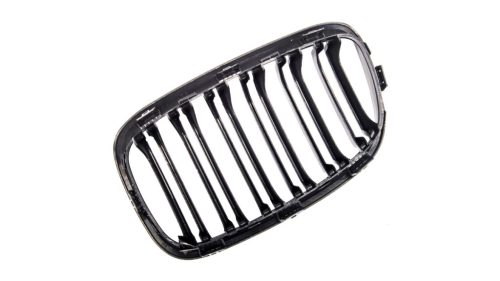 Grill BMW 1 F20 F21 Dual Line Carbon Look