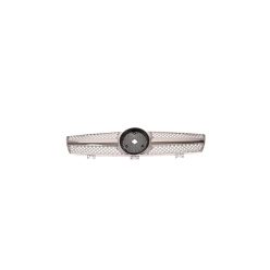 Grill Mercedes-Benz CLS C219 Chrome & Silver